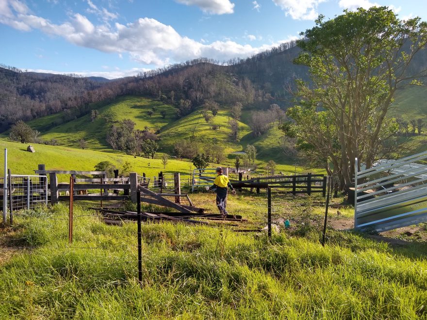 Stockyard cleanup – timelapse