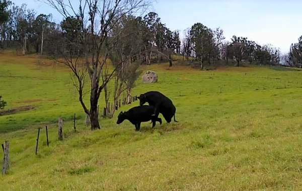 And has a good work ethic. Straight to business as soon as he was released