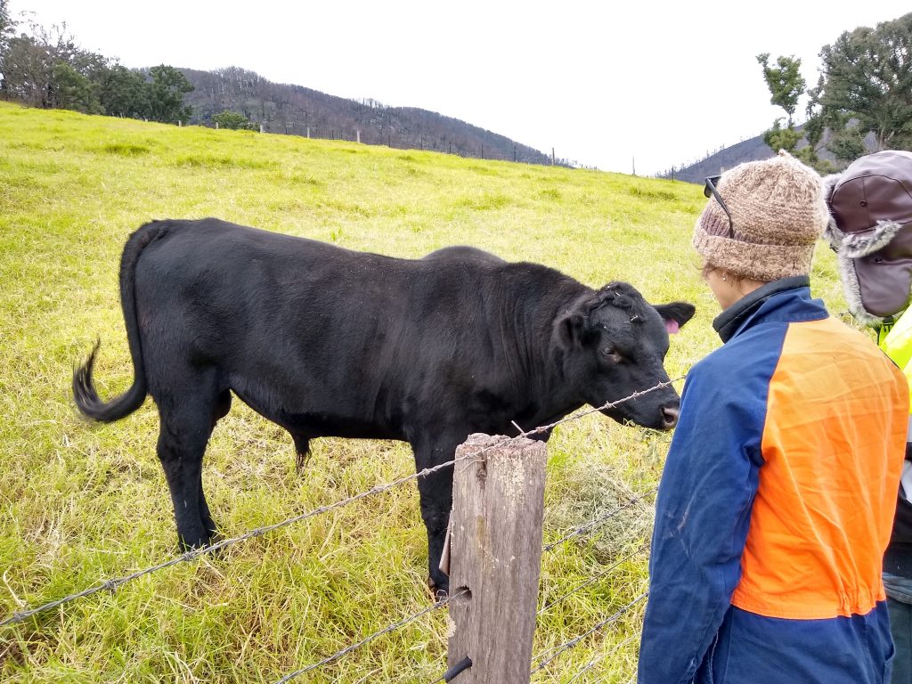 He seems quite inquisitive